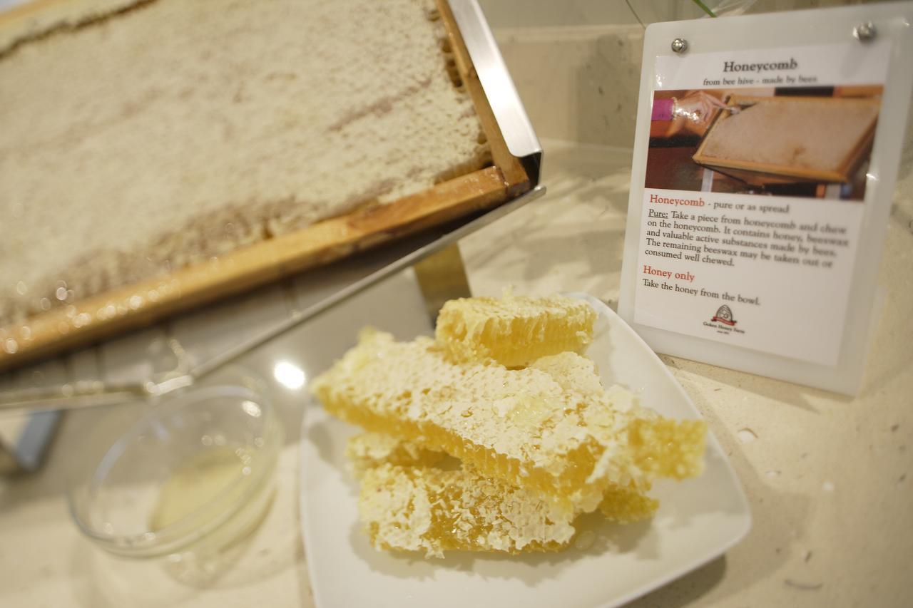 栀子酒店 利多迪迪耶索洛 外观 照片